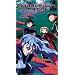 Bubblegum Crisis 2040: Burning Metal [VHS]