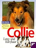 Collie - Eva-Maria Kr&auml;mer