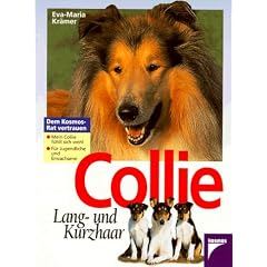 Collie