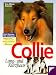 Collie Image of Collie