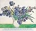 Irises, Art Poster by Vincent Van Gogh