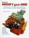 Books : How to Modify Your Mini