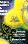 Angels Guides & Other Spirits: Incredible Events from the Unseen World Around Us as Told by a Spirit Release Therapist