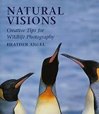 Natural Visions: The Creative Process Behind Great Nature and Wildlife Photographs