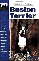 Guide to Owning a Boston Terrier (Re-335)
