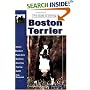 Guide to Owning a Boston Terrier (Re-335)