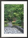Japanese Garden Stone Bridge in Washington Park Arboretum, Seattle, Washington, USA Framed Photographic Poster Print by Jamie & Judy Wild, 21x29