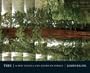 Tree: A New Vision of the American Forest