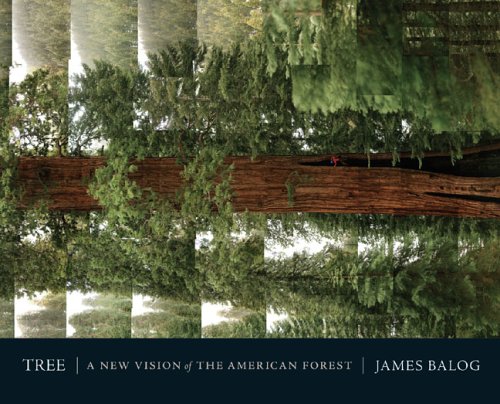 Tree (mini ed.): A New Vision of the American Forest