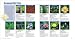 Image: Shopper's Delight: Outdoor & Recreational Areas in The Books Store ~ New Complete Guide To Landscaping: Design, Plant, Build (Better Homes And Gardens(R))