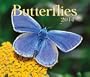 Butterflies 2014