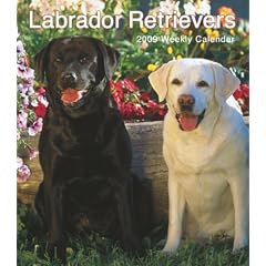 Labrador Retrievers 2009 Hardcover Weekly Engagement Calendar
