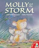 Cover of Molly and the Storm by Christine Leeson 1854308548