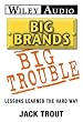 Big Brands Big Trouble: Lessons Learned the Hard Way (Wiley Audio)