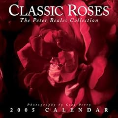 Classic Roses 2005 Calendar: The Peter Beales Collection Photographs