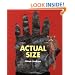 Actual Size (Bccb Blue Ribbon Nonfiction Book Award (Awards))