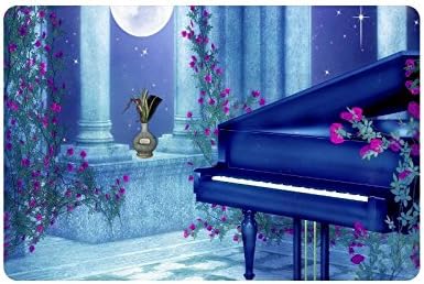 Piano Keys Custom Doormat Entrance Mat Floor Mat Rug Indoor/Outdoor/Front Door/Bathroom Mats Rubber Non Slip Size 23.6 x 15.7 inches