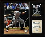 MLB Maggio Ordonez Detroit Tigers Player Plaque
