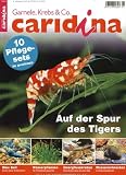 caridina [Jahresabo]