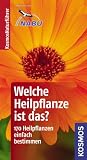 Welche Heilpflanze ist das?: 170 Heilpflanzen einfach bestimmen - typische Merkmale auf einen Blick - Basic - Wolfgang Hensel