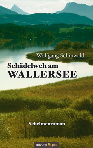 Schädelweh am Wallersee: Bahn und Post im Dienste der Exekutive (German Edition)