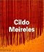 Books : Cildo Meireles (Contemporary Artists)