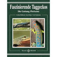 Faszinierende Taggeckos. Die Gattung Phelsuma