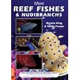 More Reef Fishes and Nudibranchs: East and South Coast of Southern Africa by  Dennis King and Valda Fraser