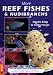 Book More Reef Fishes and Nudibranchs