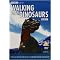 Essential BBC DVDs