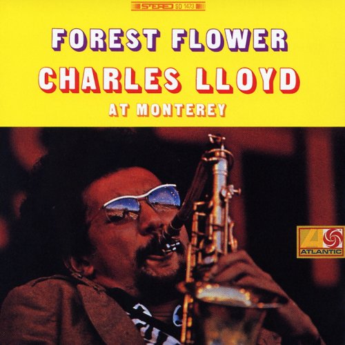 Forest Flower: Live in Monterey
