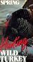 Spring Hunting Wild Turkey [VHS]