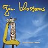Bild des Albums von Gin Blossoms