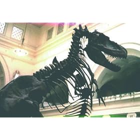 The Origin of Species--Creationism and Evolution