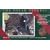 The Polar Express Deluxe Gift Package