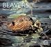Beavers (Worldlife Library)