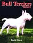 Bull Terriers Today