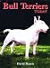 Bull Terriers Today