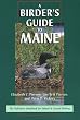 A Birder's Guide to Maine