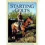 Starting Colts: Catching/Sacking Out/Driving/First Ride/First 30 Days/Loading