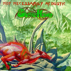 Steve Howe - Not Necessarily Acoustic - Zortam Music