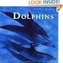 Dolphins: Nature's Window