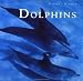 Dolphins: Nature's Window