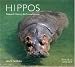 Hippos: Natural History & Conservation (Worldlife Library)