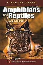 Amphibians and Reptiles of Brunei: A Pocket Guide