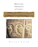 Diwylliant gweledol Cymru. Gweledigaeth yr Oesoedd Canol