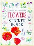Cover for 9780746029978