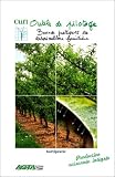 Outils de pilotage : bonnes pratiques en arboriculture fruitière
