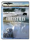 DVD Christmas in Yellowstone code image