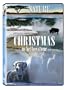Christmas in Yellowstone
